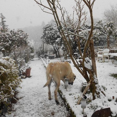 La Mare Aux Fees Bed and Breakfast Huelgoat Εξωτερικό φωτογραφία