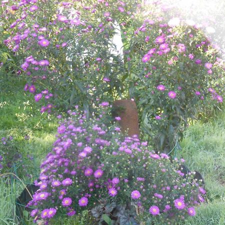 La Mare Aux Fees Bed and Breakfast Huelgoat Εξωτερικό φωτογραφία