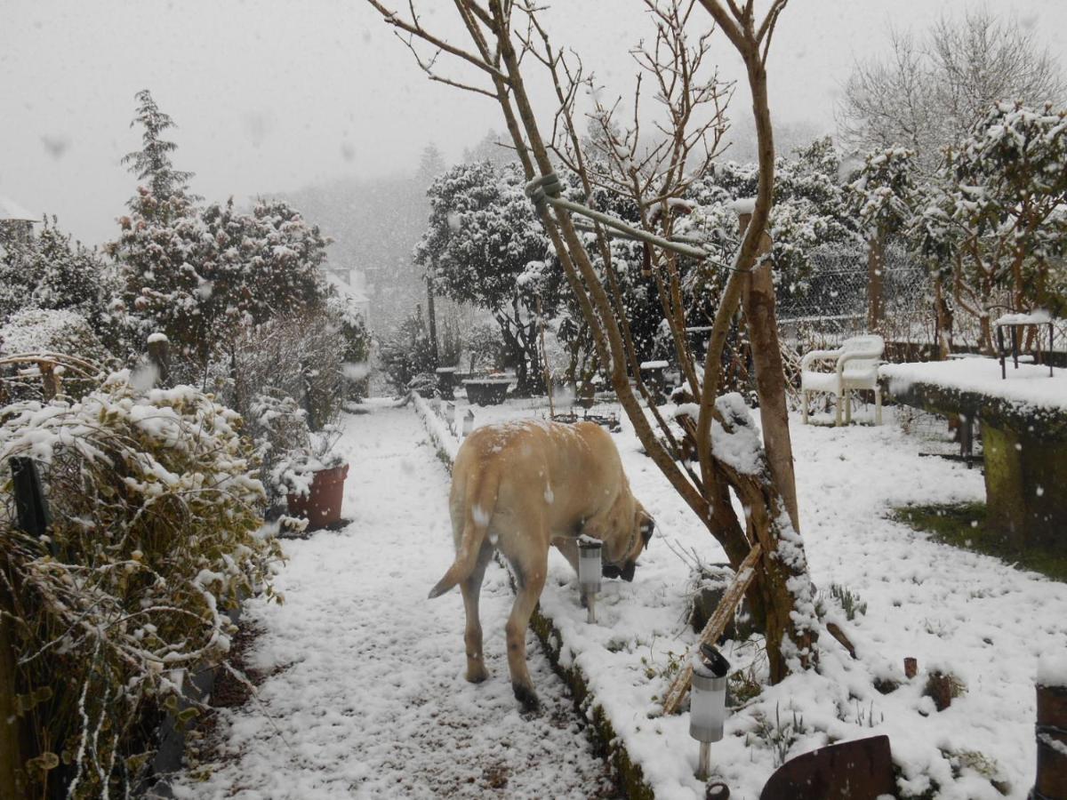 La Mare Aux Fees Bed and Breakfast Huelgoat Εξωτερικό φωτογραφία
