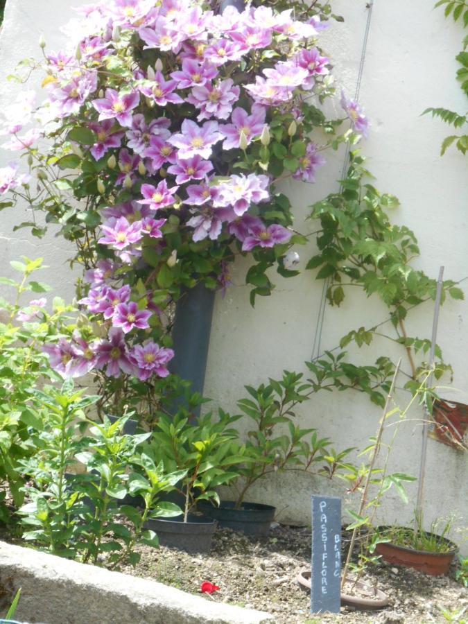 La Mare Aux Fees Bed and Breakfast Huelgoat Εξωτερικό φωτογραφία